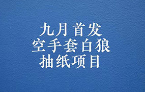 0成本，日入100-500空手套白狼抽纸项目，保姆级教学