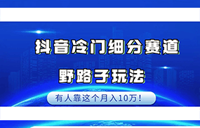 抖音冷门细分赛道野路子玩法，有人靠这个月入10万