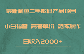 最新闲鱼二手数码赛道，小白福音，高客单价，矩阵操作，日收入2000+