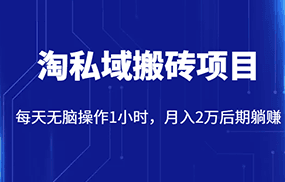 价值2980的淘私域搬砖项目，每天无脑操作1小时，月入2万后期躺赚