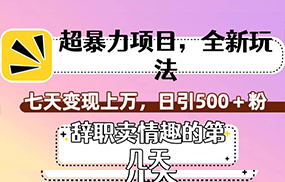 超暴利项目，全新玩法（辞职卖情趣的第几天），七天变现上万，日引500+粉