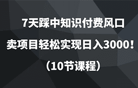 7天踩中知识付费风口，卖项目轻松实现日入3000！