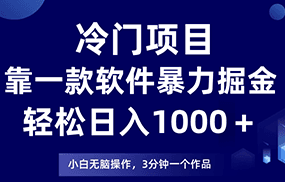 冷门项目靠一款软件，暴力掘金日入1000＋