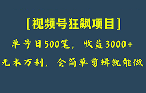 日收款500笔，纯利润3000+，视频号狂飙项目！