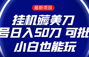 薅羊毛项目 零投入挂机薅美刀 单号日入50刀 可批量 小白也能玩