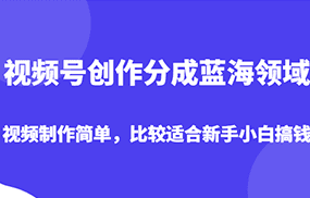 视频号创作分成蓝海领域，视频制作简单，比较适合新手小白搞钱