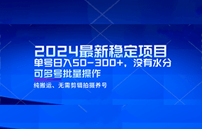 2024最新稳定风口项目，单号日入50-300+