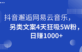 抖音邂逅网易云音乐，另类文案4天狂吸5W粉，日赚1000+