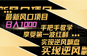 最新风口项目，日入1000，手把手教学，享受第一波红利，实现逆风翻盘