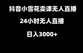 抖音小雪花卖缝补收纳教学视频课程，无人直播日入3000+