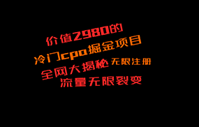 价值2980的CPA掘金项目大揭秘，号称当天收益200+