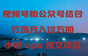 视频号和公众号结合打造月入过万的小说cps推文项目，包括市面上面的各种思路详解