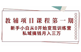 教辅项目课程第一期：新手小白从0开始变现训练营 私域搞钱月入三万