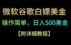 微软谷歌项目3.0，轻松日赚500+美金，操作简单，小白也可轻松入手！