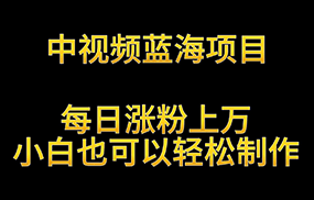 中视频蓝海项目，解读英雄人物生平，每日涨粉上万，小白也可以轻松制作，月入过万