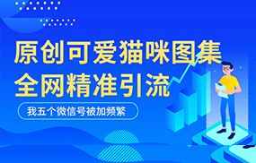 黑科技纯原创可爱猫咪图片，全网精准引流，实操5个VX号被加频繁