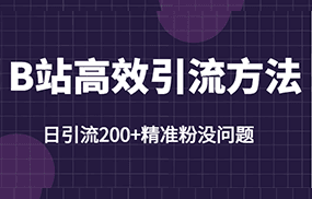 B站高效引流方法，学会这一招，日引流200+精准粉没任何问题