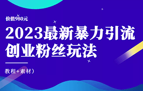 价值980元的2023最新暴力引流创业粉丝玩法