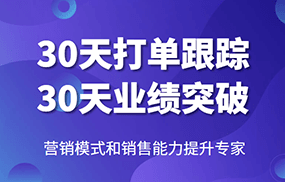 营销模式和销售能力提升专家，30天打单跟踪，30天业绩突破