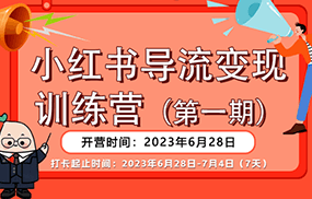 小红书导流变现营，一线实操实战团队总结，真正实战，全是细节！