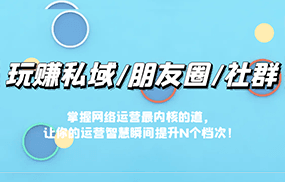 玩赚私域/朋友圈/社群，掌握网络运营最内核的道，让你的运营智慧瞬间提升N个档