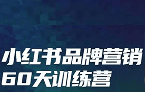 小红书品牌60天训练营第6期，GMV2亿级品牌老板都在学，教会你内容营销底层逻辑