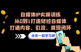 自媒体IP实操训练，从0到1打造财经自媒体，打通内容、引流、变现闭环