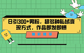 独家推荐！日引300+精准男性粉丝，分类风格视频新玩法2.0！变现超级快