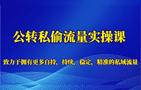 公转私偷流量实操课，致力于拥有更多自持，持续，稳定，精准的私域流量