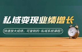 私域·变现业绩增长：快速放大成绩，可复制的·私域系统课程