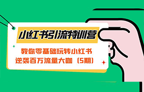 小红书引流特训营-第5期：教你零基础玩转小红书，逆袭百万流量大咖