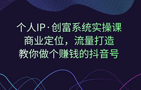 个人IP·创富系统实操课：商业定位，流量打造，教你做个赚钱的抖音号