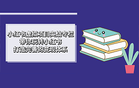 小红书虚拟项目实战专栏，带你玩转小红书，打造完善的变现体系