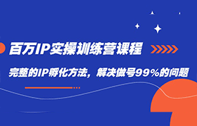 百万IP实战训练营课程，完整的IP孵化方法，解决做号99%的问题