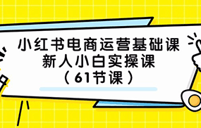 小红书电商运营基础课，新人小白实操课