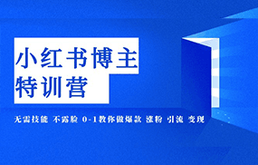 小红书博主爆款特训营-11期 无需技能 不露脸 0-1教你做爆款 涨粉 引流 变现