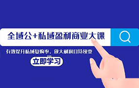 全域公+私域盈利商业大课，有效提升私域复购率，放大利润且持续变现