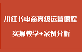 小红书电商高级运营课程 实操教学+案例分析