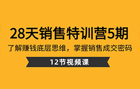 28天销售特训营5期：了解赚钱底层思维，掌握销售成交密码