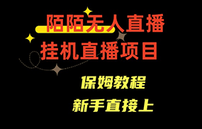 收费1980的，陌陌无人直播，通道人数少，新手容易上手