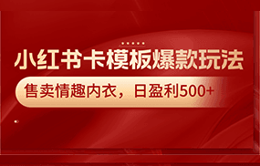 小红书卡模板爆款玩法，售卖情趣内衣，日盈利500+