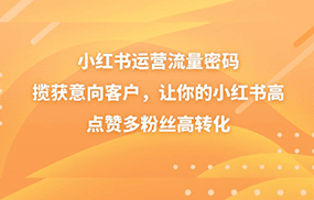 小红书运营流量密码，揽获意向客户，让你的小红书高点赞多粉丝高转化