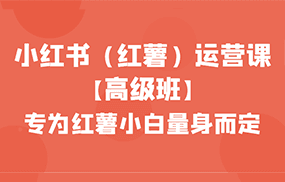 小红书（红薯）运营课【高级班】，专为红薯小白量身而定