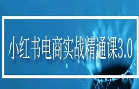 小红书电商实战精通课3.0，抓住小红书平台的风口，不错过有一个赚钱的机会