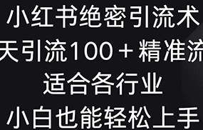 小红书绝密引流术，一天引流100＋精准流量，适合各个行业，小白也能轻松上手