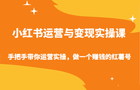 小红书运营与变现实操课-手把手带你运营实操，做一个赚钱的红薯号