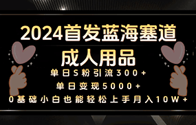 2024首发蓝海塞道成人用品，月入10W+保姆教程