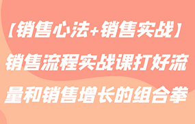 【销售心法+销售实战】销售流程实战课打好流量和销售增长的组合拳