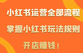 小红书运营全部流程，掌握小红书玩法规则，开店赚钱