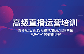 高级直播运营培训 直播运营/话术/短视频/投流/三频共振 从0~1~100详细讲解